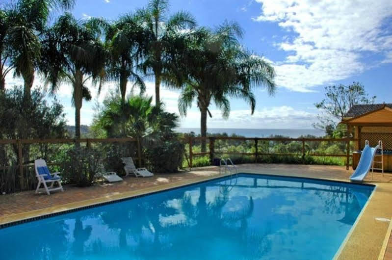 Ambience At Diggers Beach Coffs Harbour Exteriör bild